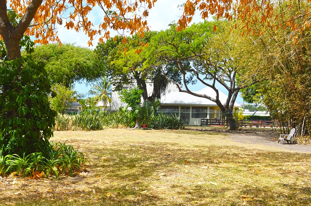 DSC 0180 0