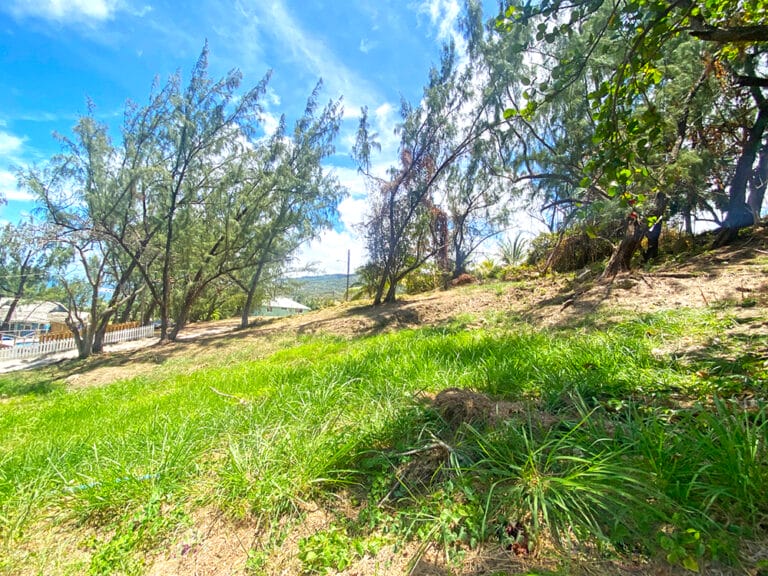 Atlantic Park Lot 60