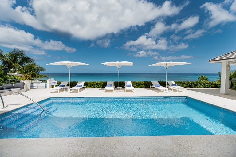 Blue Oyster 02 768x511