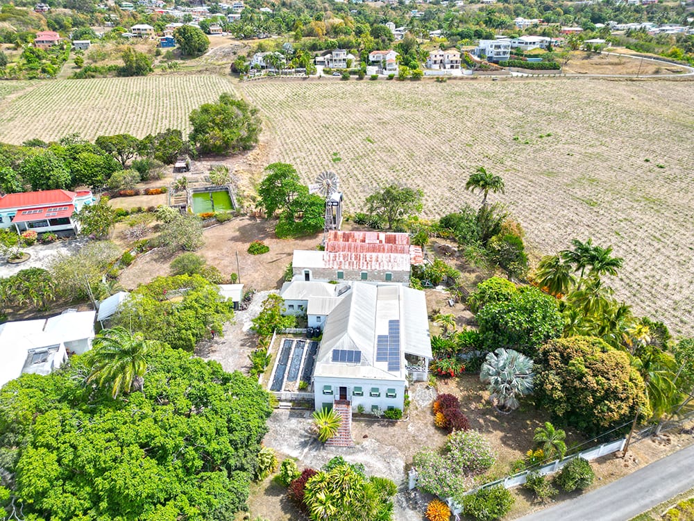 DJI 0106