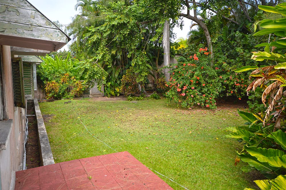 DSC 0010 10