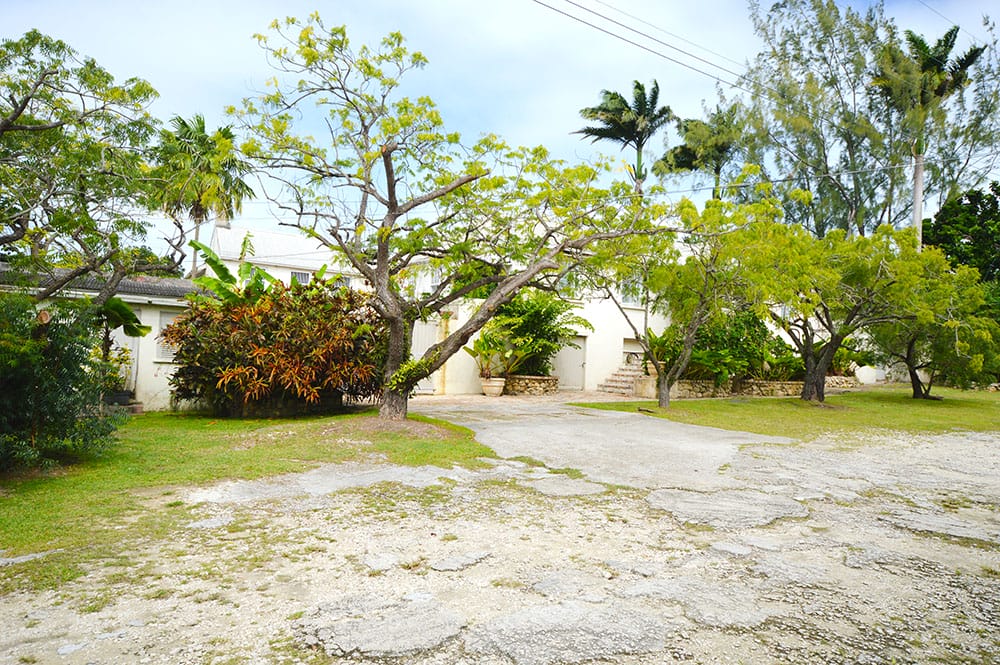 DSC 0025 0 1