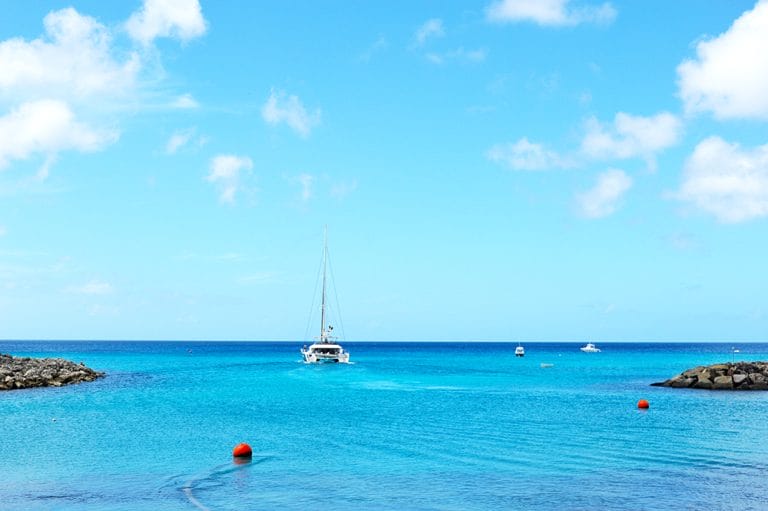 DSC 0049 Copy 1 768x511