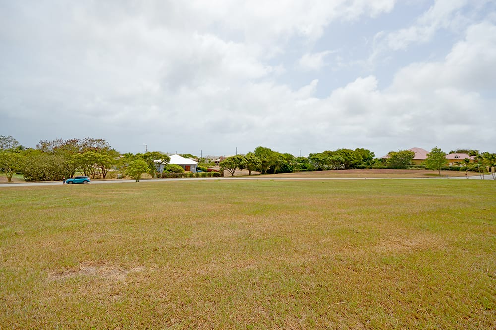 DSC 0099