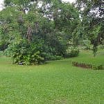 DSC 0104 0 150x150