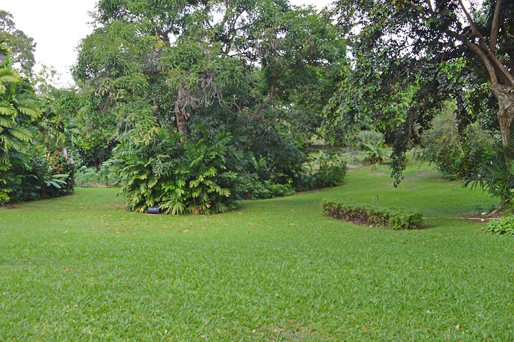 DSC 0104 0