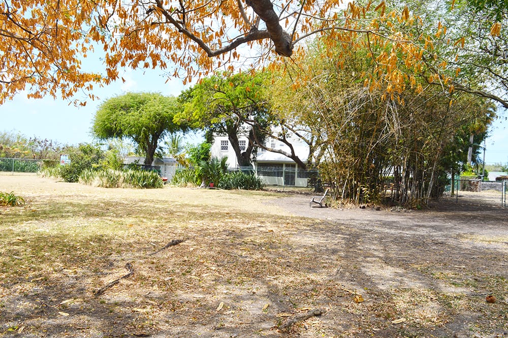 DSC 0177