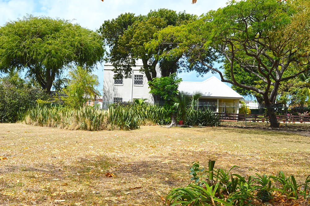 DSC 0181 0 1