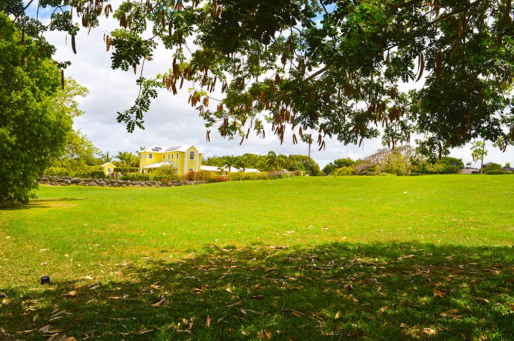 DSC 0719