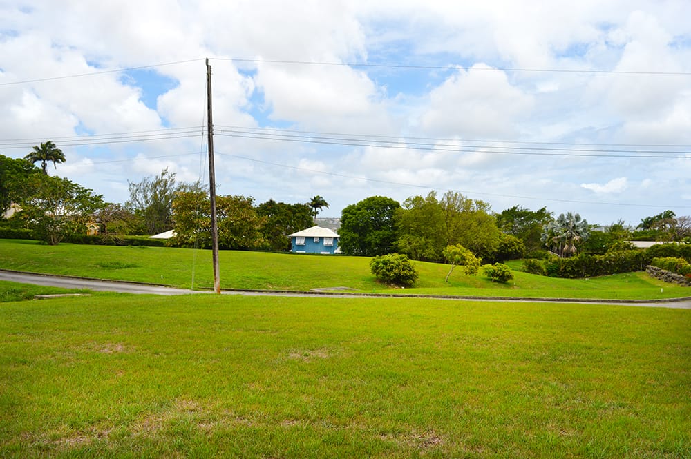 DSC 0727