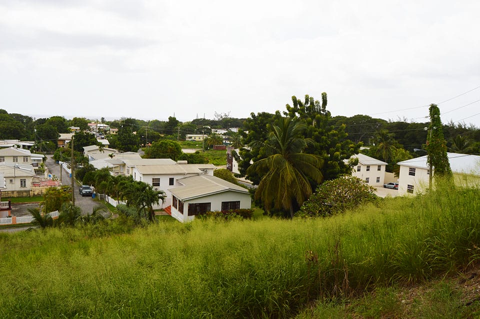DSC 7564 1