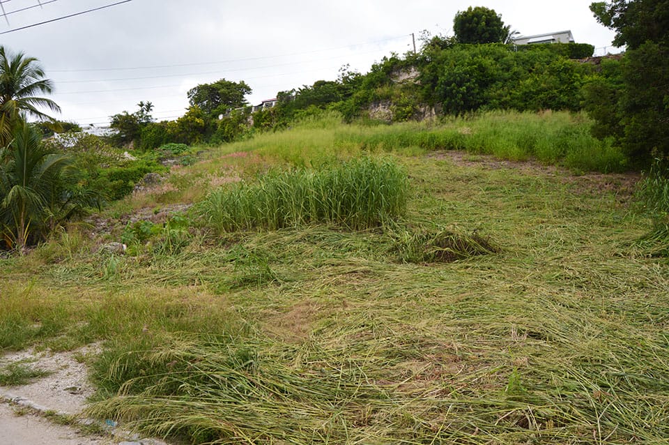 DSC 7565 1