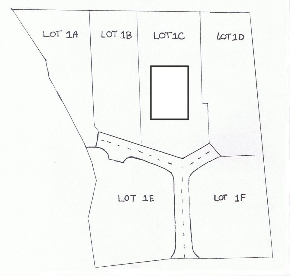 Development plan with house RESIZED