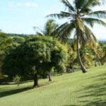 GardenWS 150x150