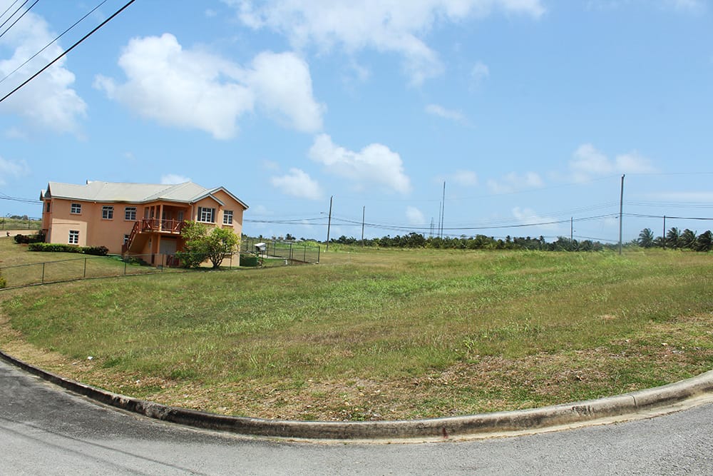 IMG 0817