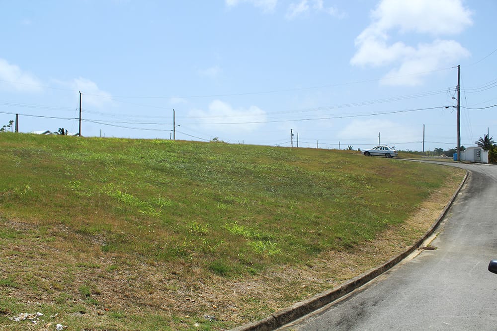 IMG 0819