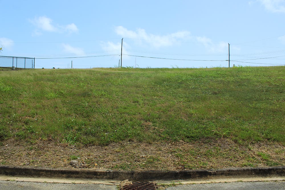 IMG 0824