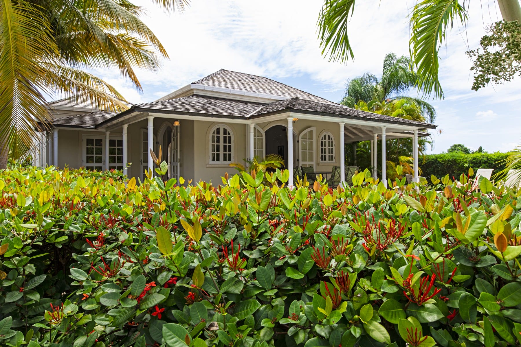 PALM RIDGE 2A 24 1