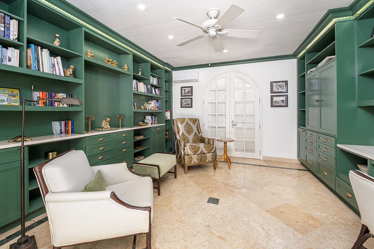 Sand Dollar Study resize