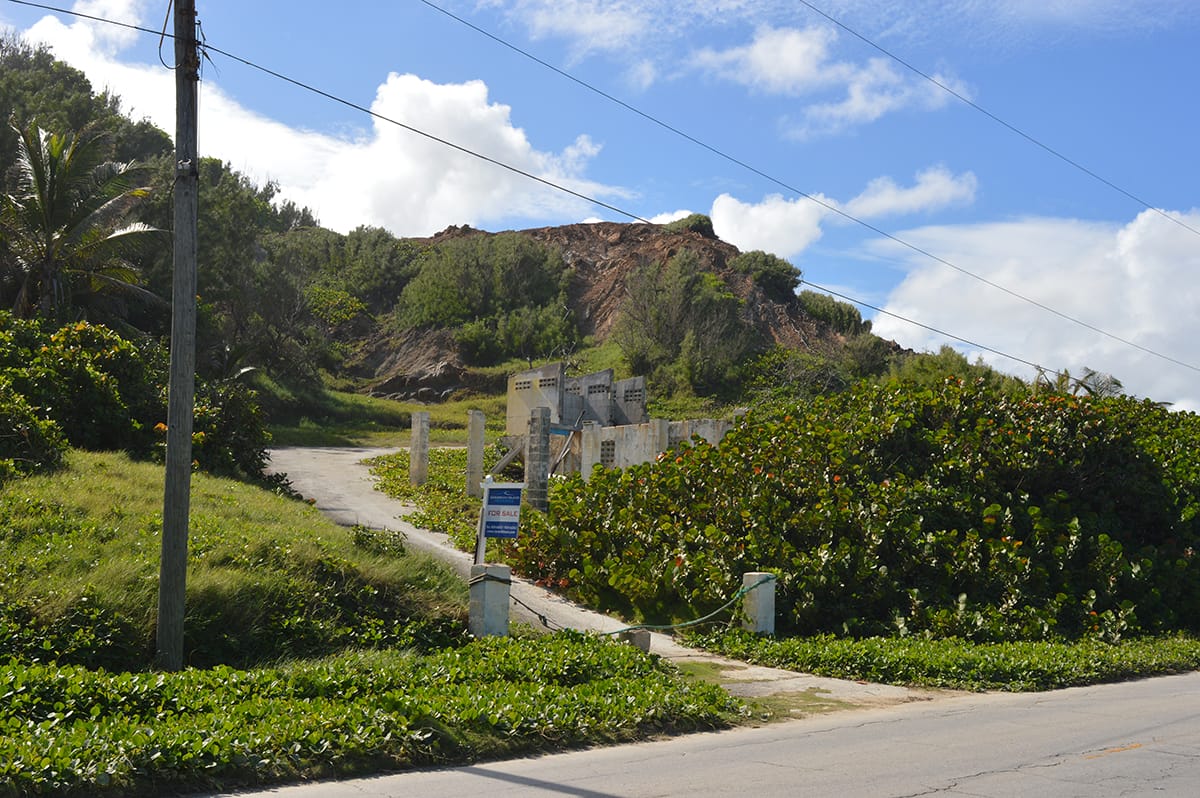 DSC 0046