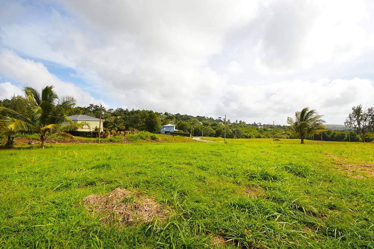 DSC 0680