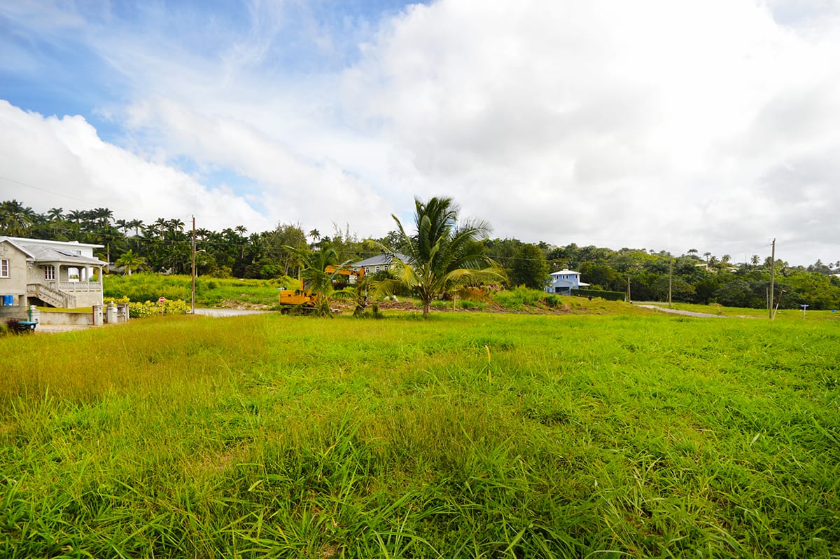 DSC 0682 1