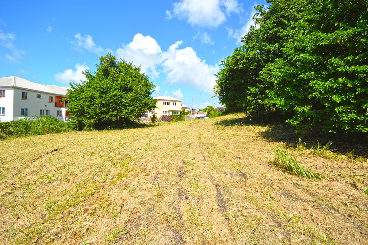 DSC 0716