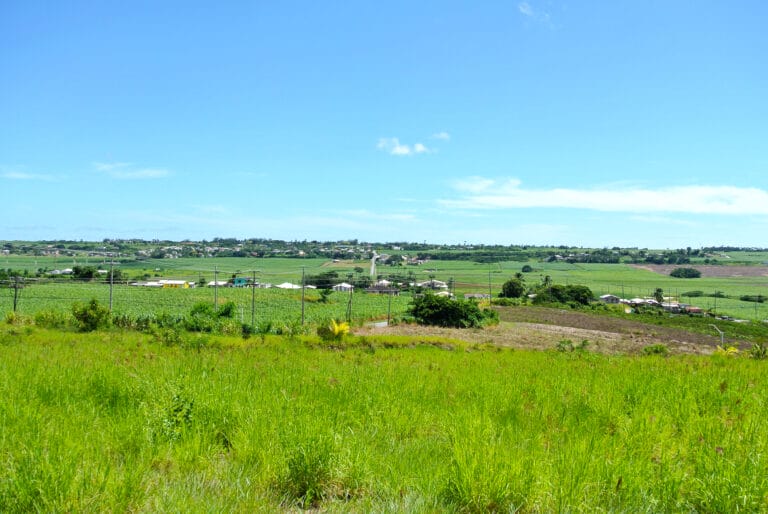 Bulkeley Heights
