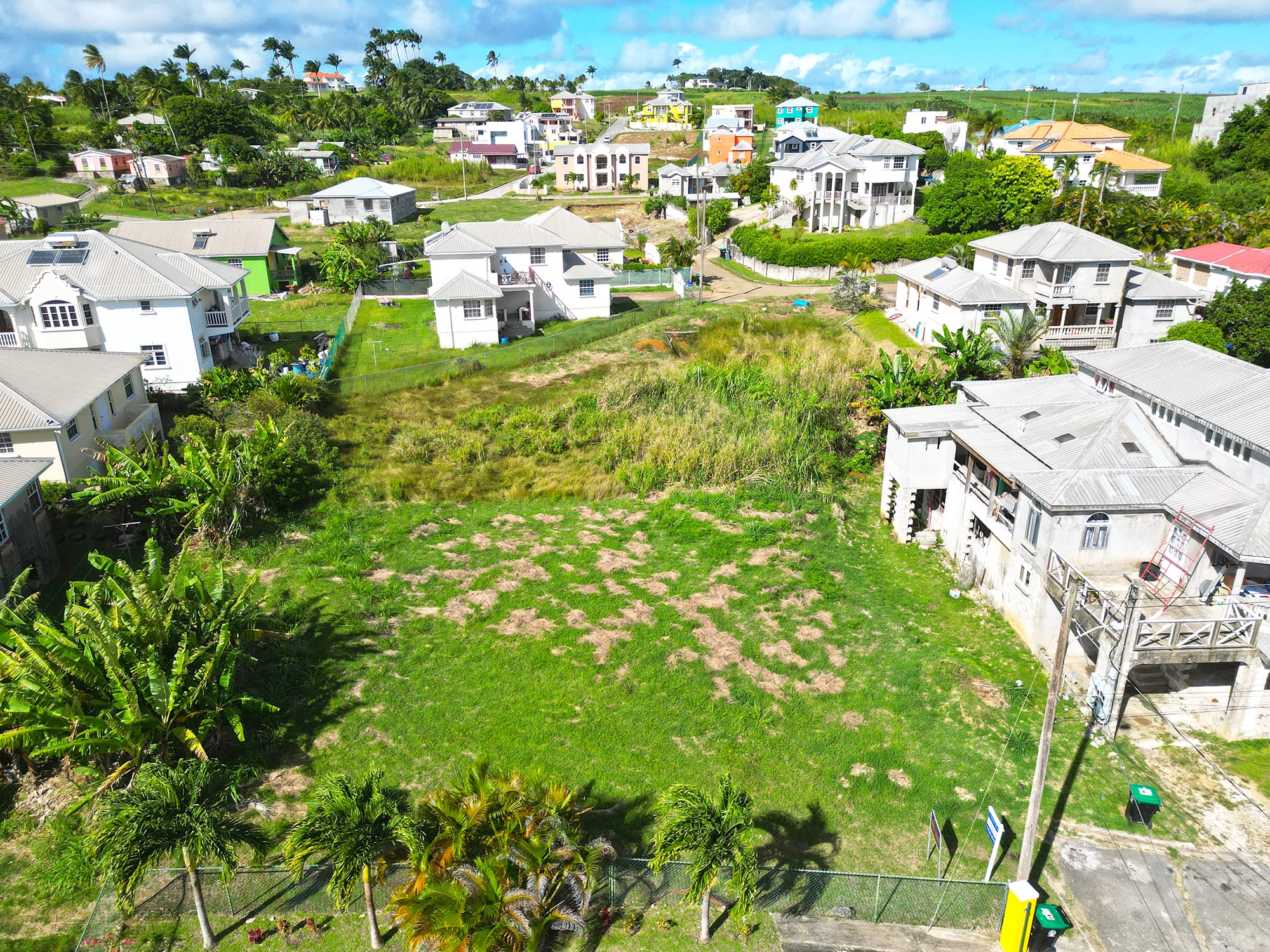 DJI 0490