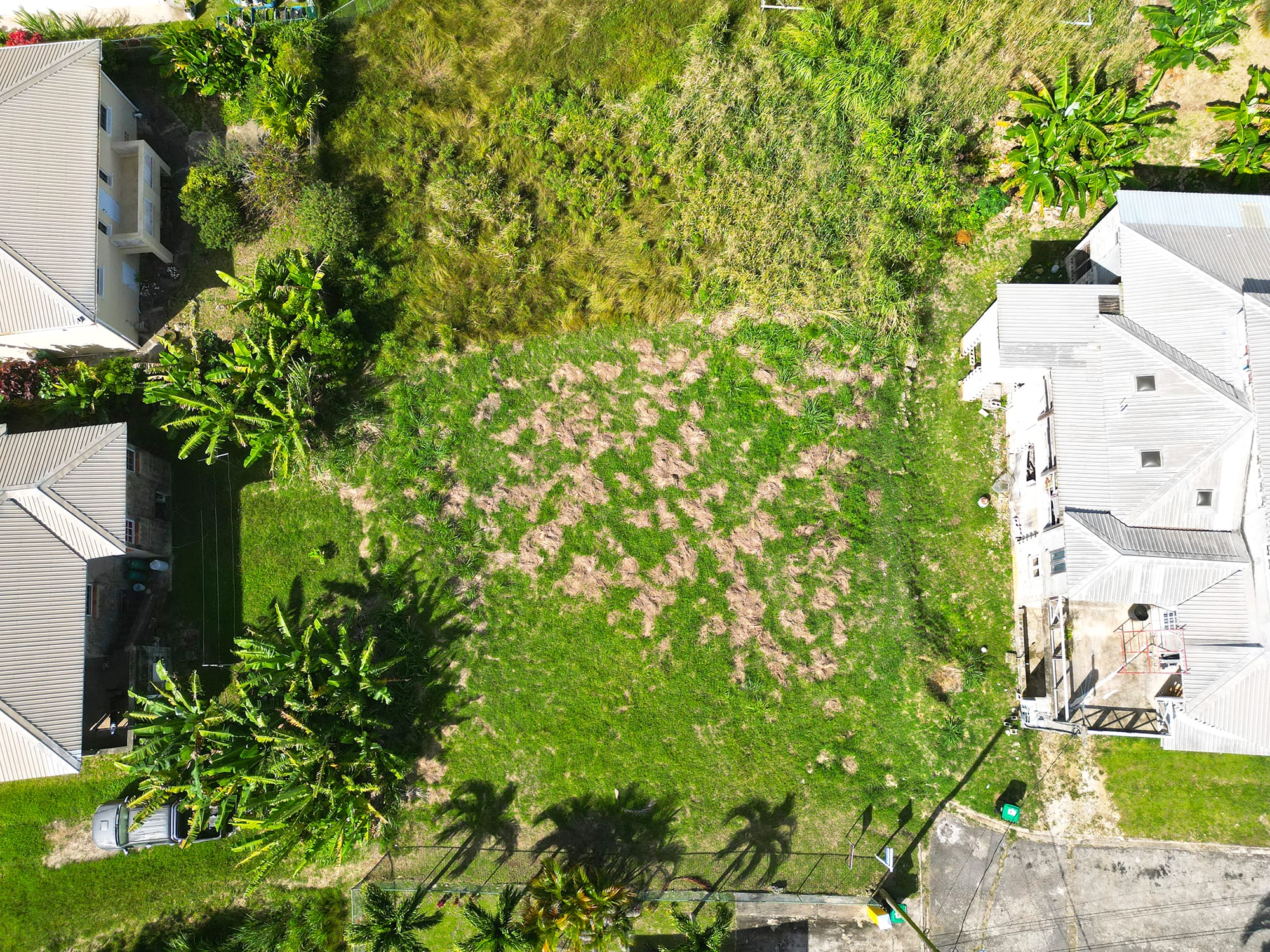 DJI 0491