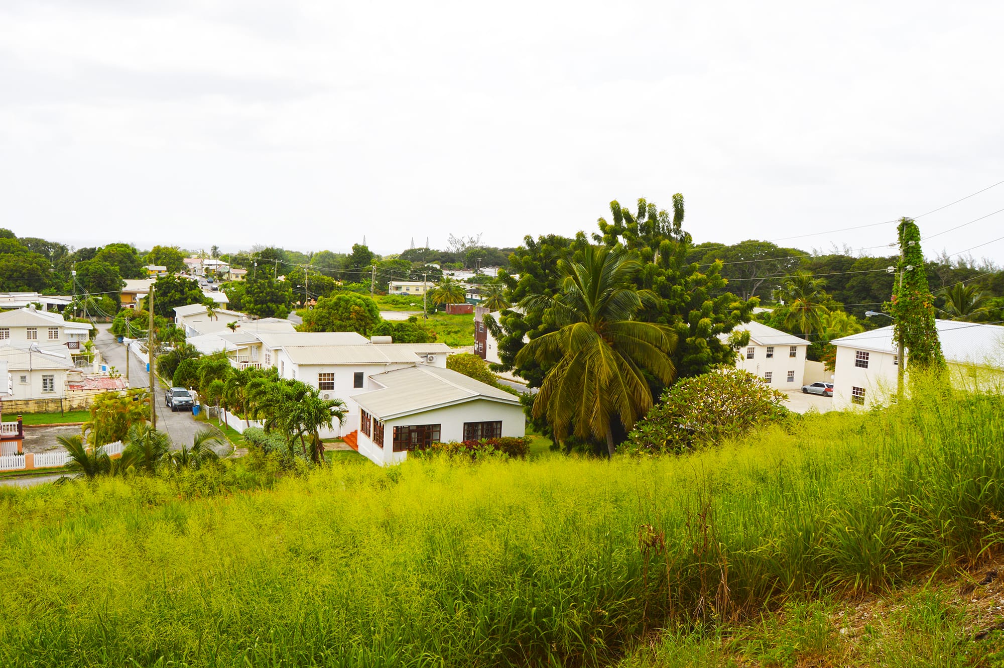 DSC 7564