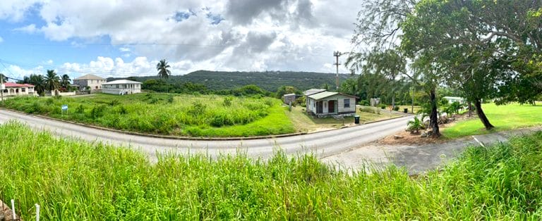 PHOTO 15 1 768x314