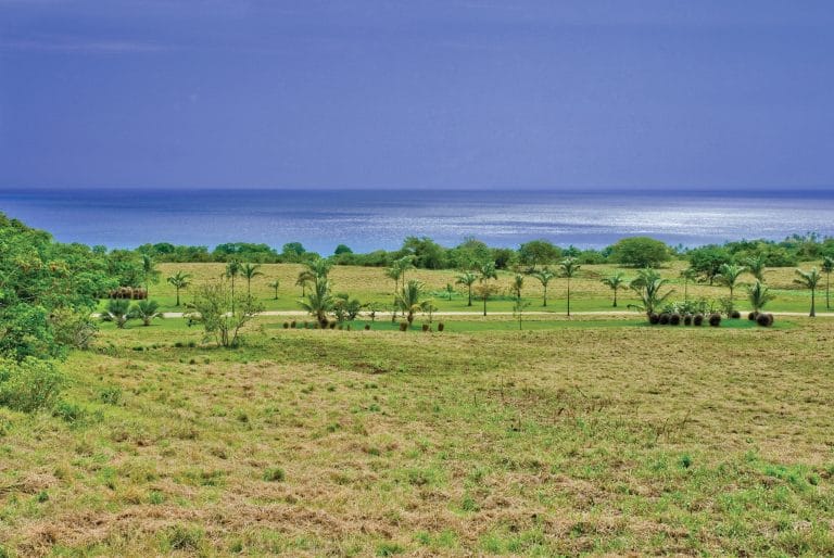 Carlton Plantation