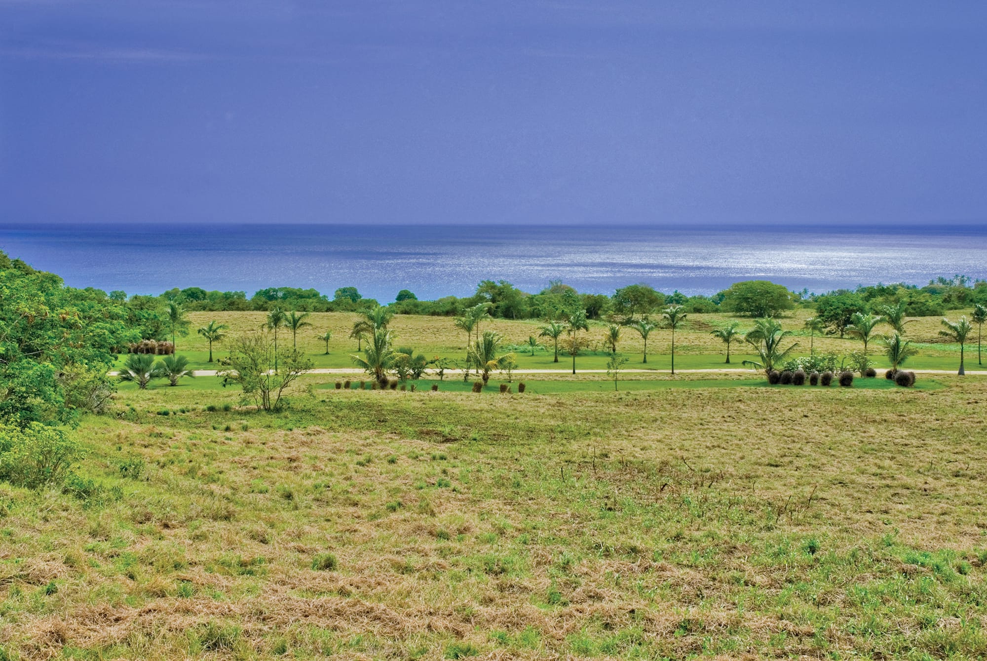 Sea view