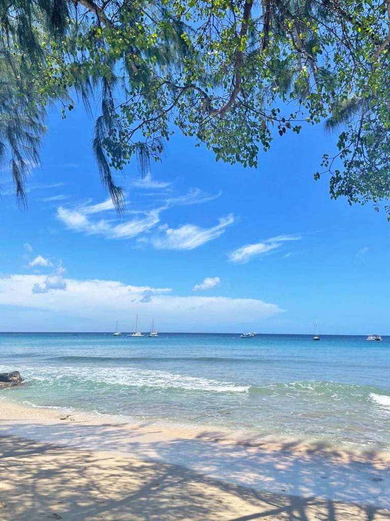 11168102 c9e7 4ad0 8f6f 11f256e257a8 2