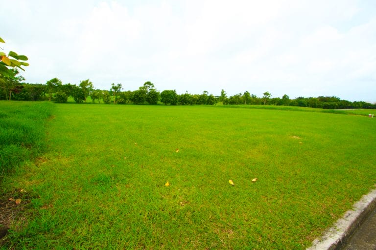 Apes Hill Polo Estate Lot 5