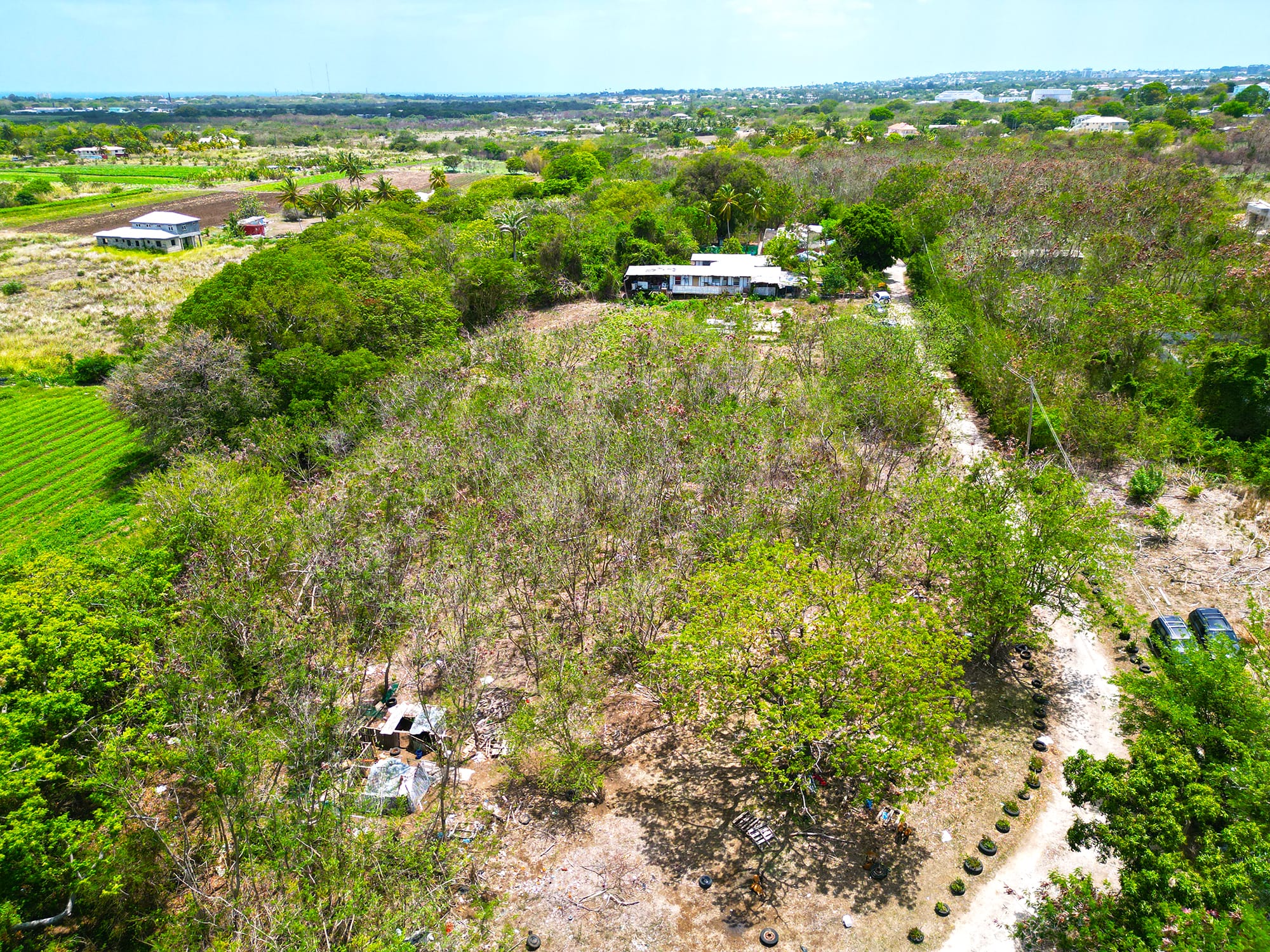 DJI 0180