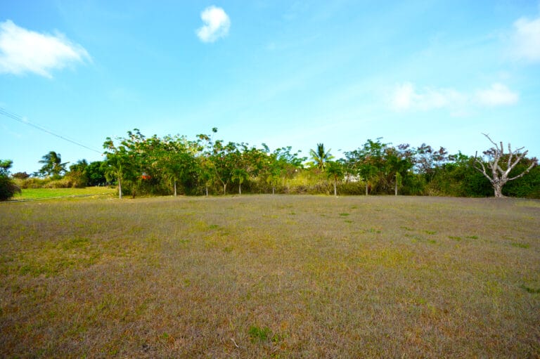 DSC 0680 768x511