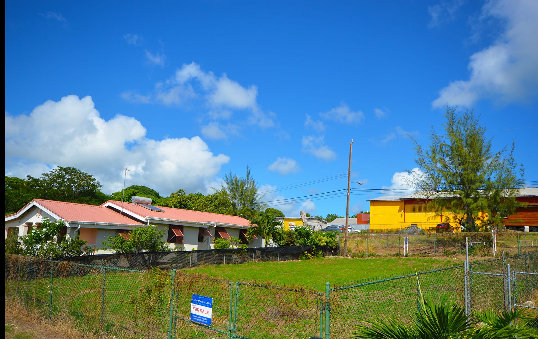 DSC 2517