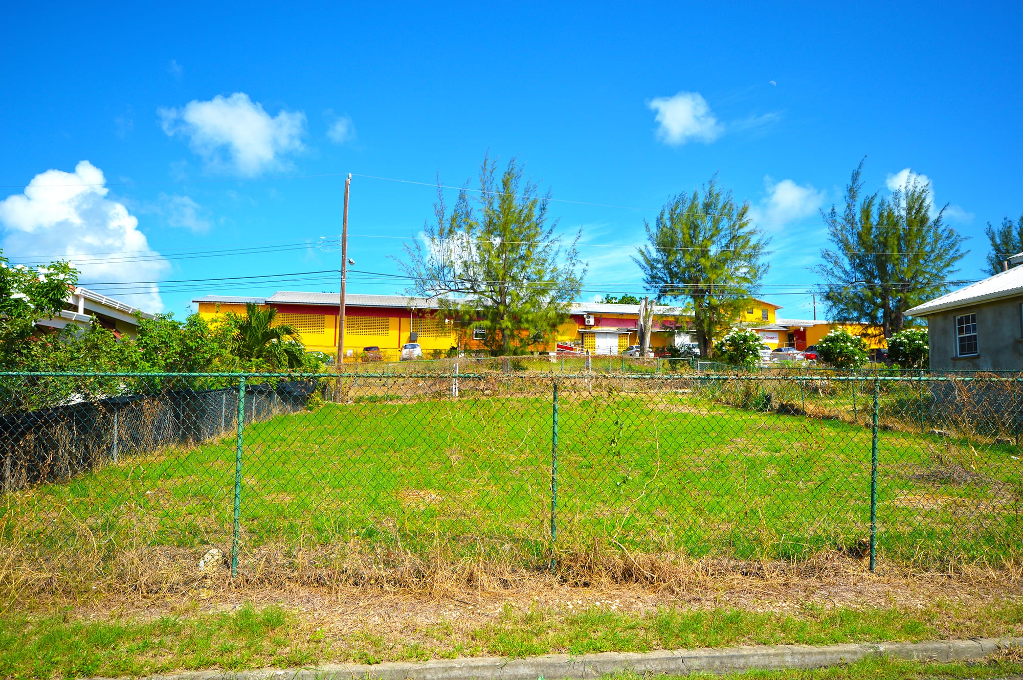 DSC 2523