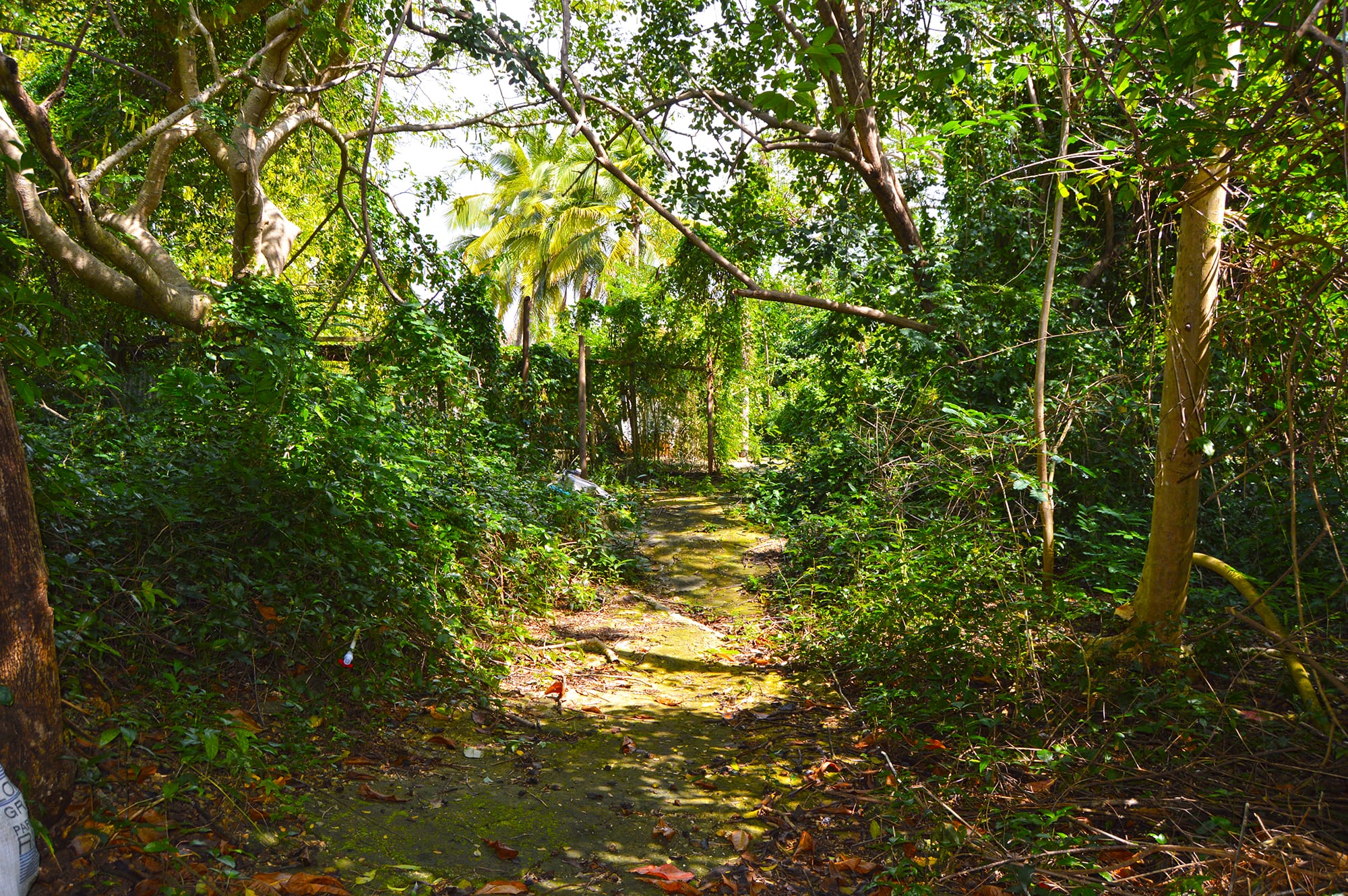 DSC 3472
