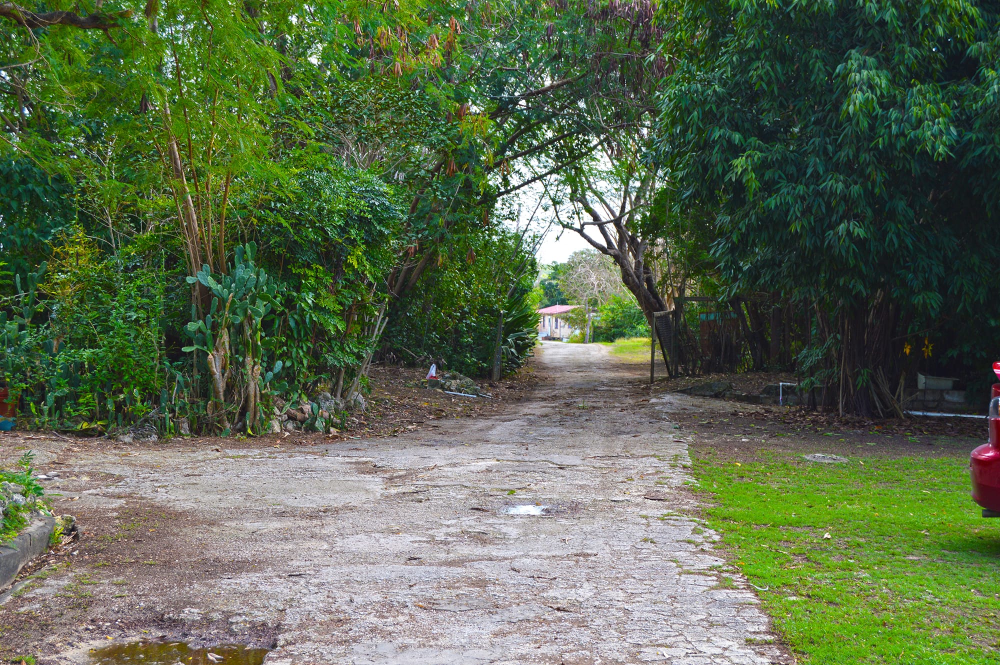 DSC 3476