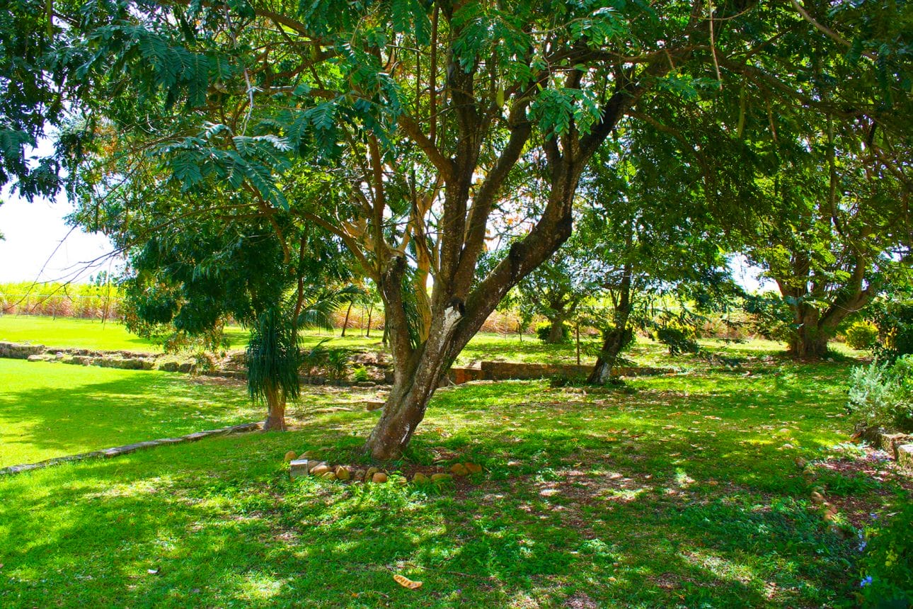 Grounds