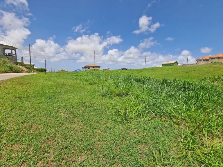 Ayshford Estates Lot 44
