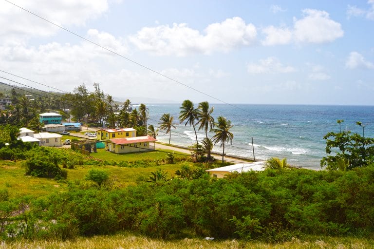 Martins Bay