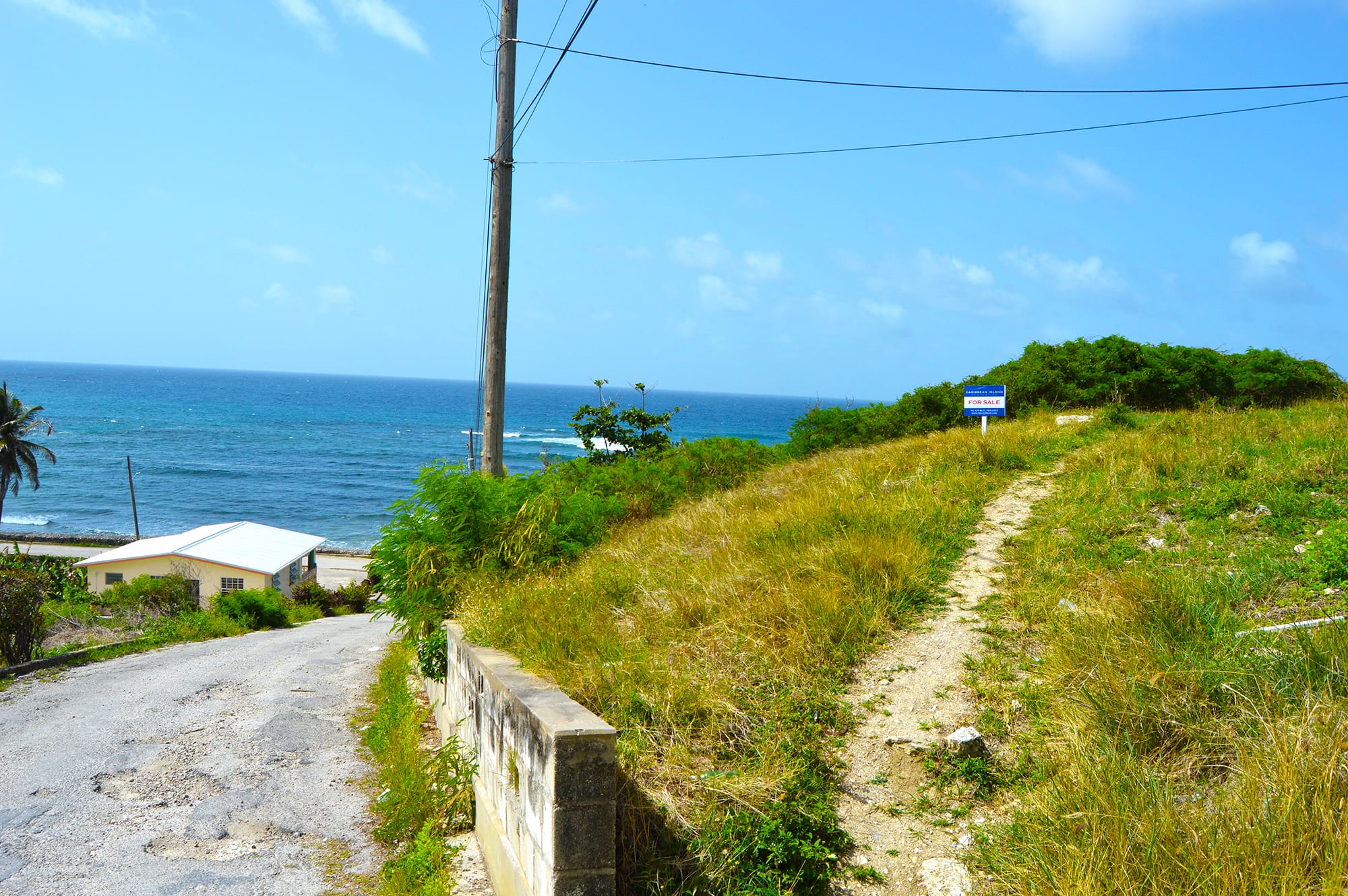 DSC 5982