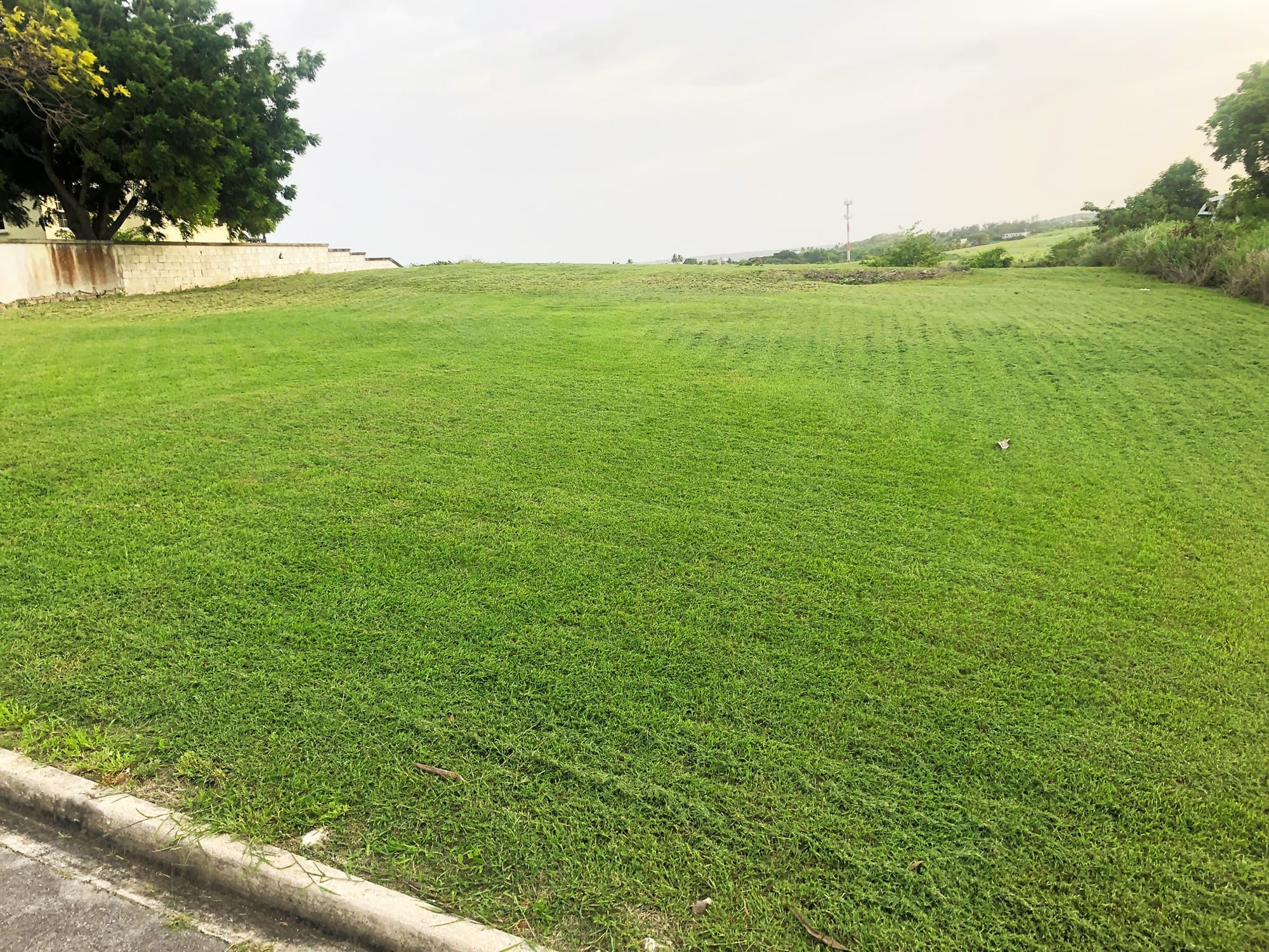 over view of land . cut