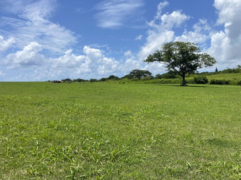Applegrove Estate, Bucks Lot 11