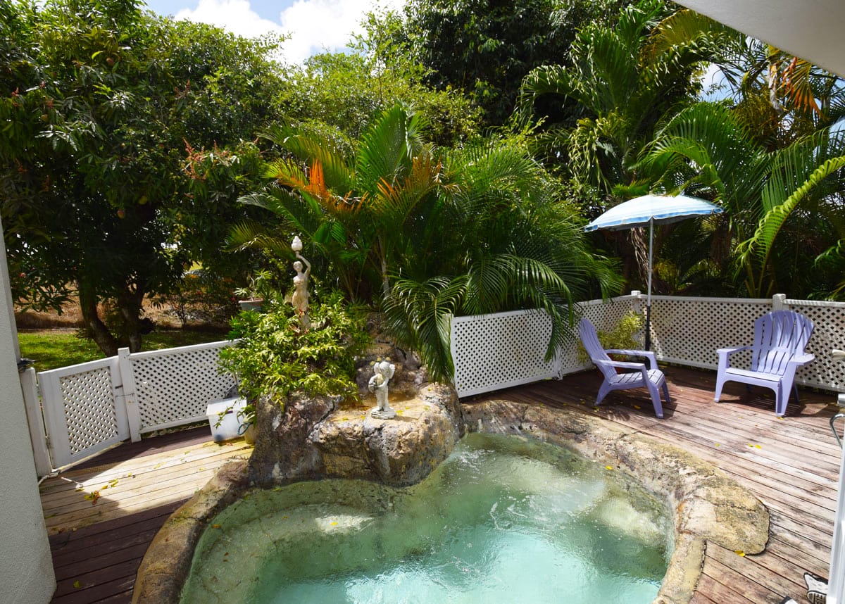 Rowans Park 51 St. George Barbados plunge pool DSC 0135 1