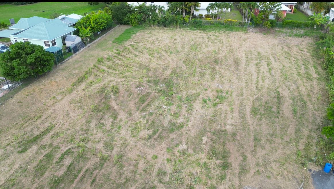 Screenshot 2024 08 09 151900 1